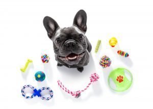 Smart Toys For Your Dog Buying Guide