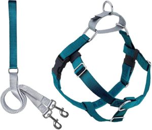 Turquoise-coloured dog harness and leash on white background