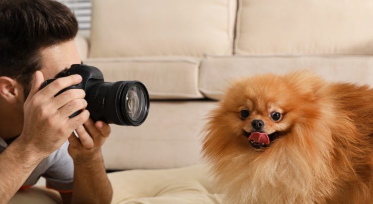 Dog and Owner Photoshoot