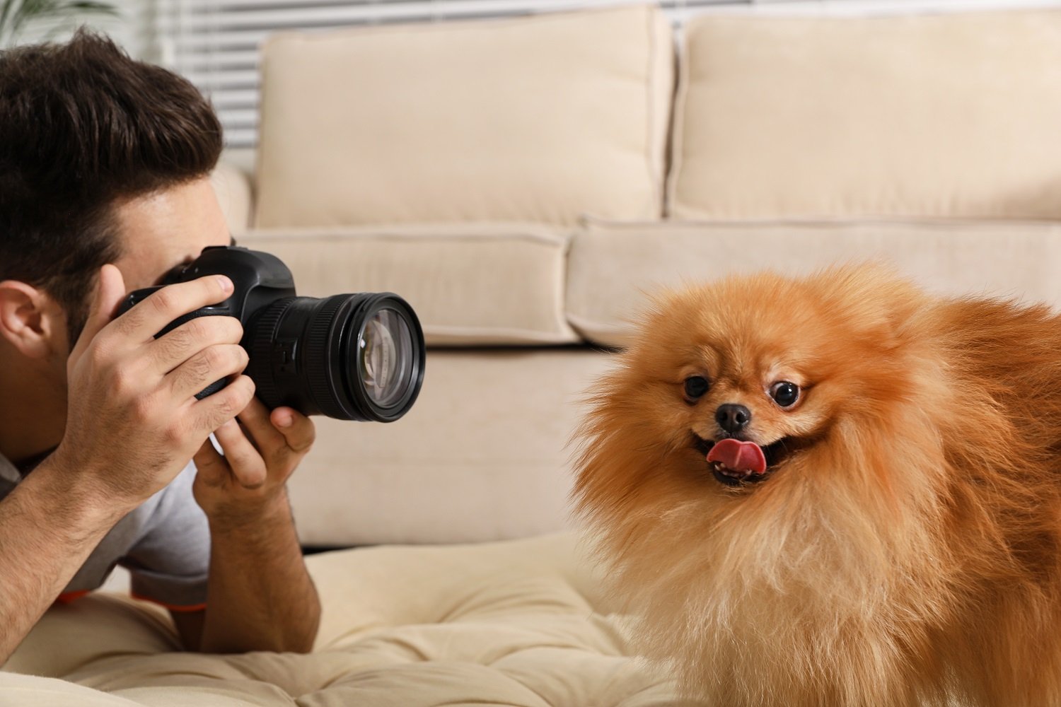Shoot At Home: 5 Dog And Owner PhotoShoot Photography Ideas You Can Shoot At Home