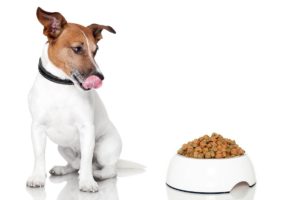 Dog Food for Less Poop