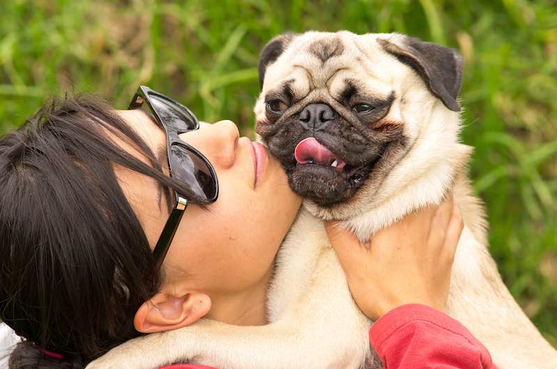 First-Time Dog Owner Tips to Know Before Getting a Dog