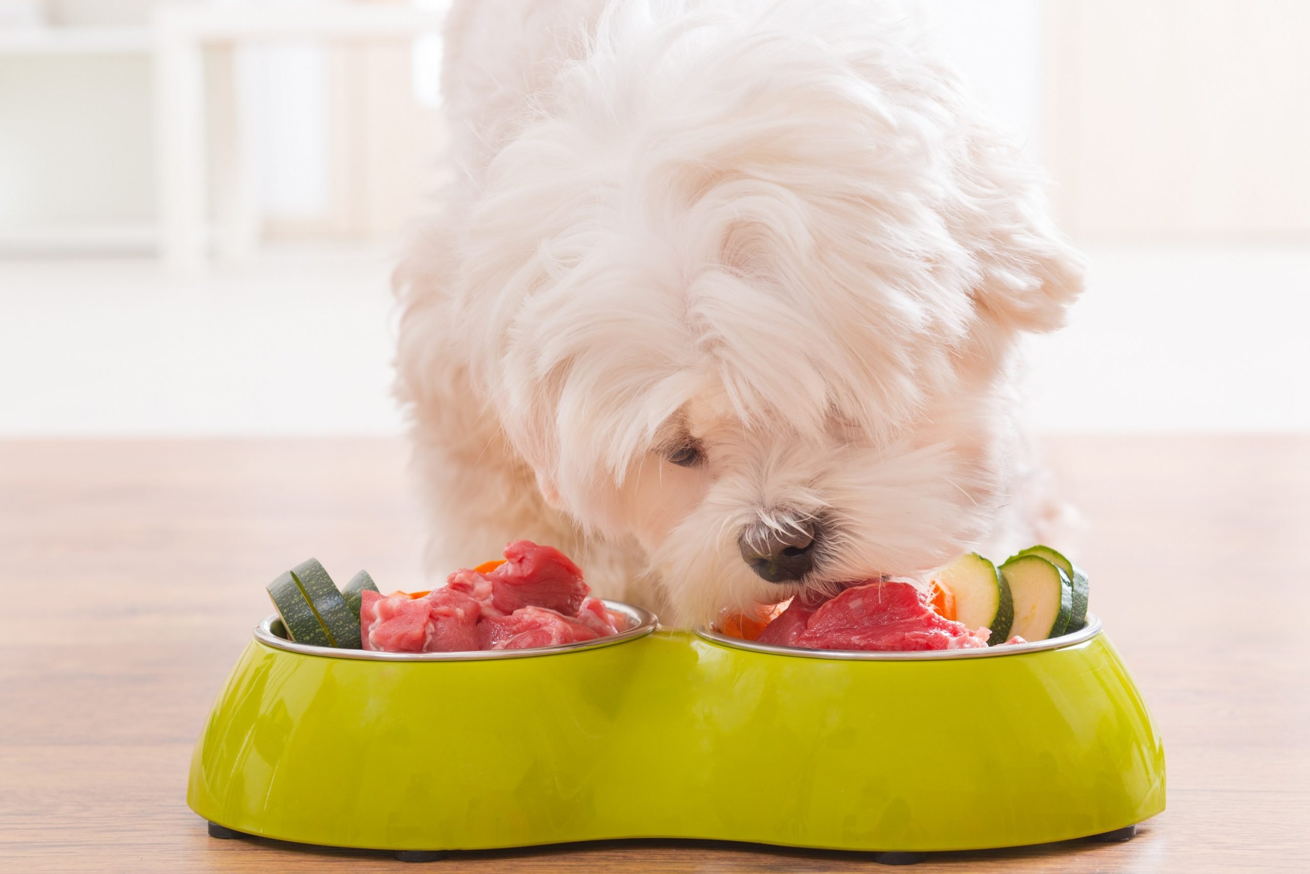 Raw Food Feeding Guide For Dog: How Much Raw Food To Feed A Dog Each Day