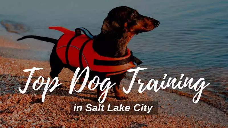 Top Dog Training Schools in Salt Lake City