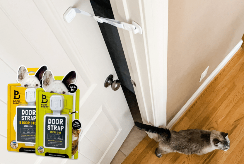 Keep the Dog Out of the Litter Box with Door Buddy